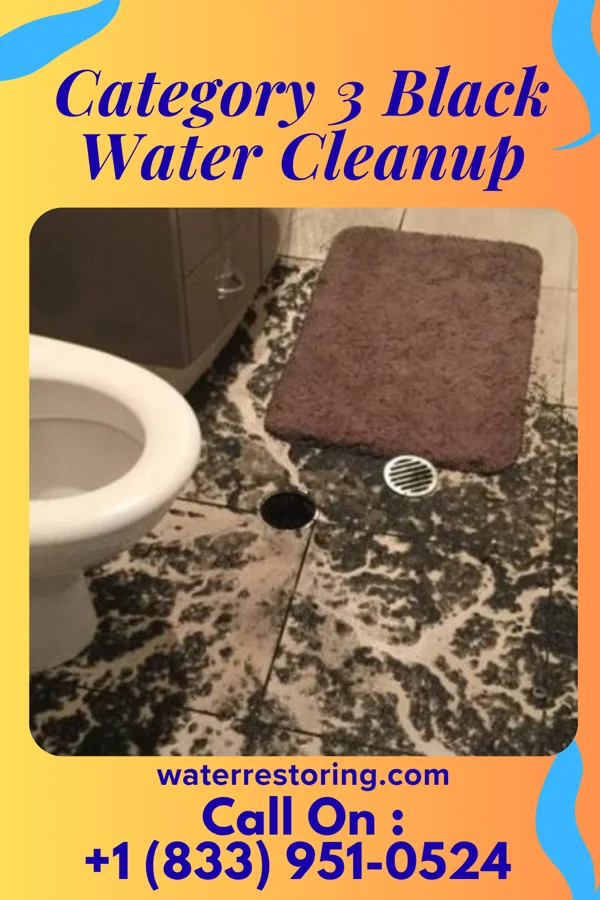Category 3 Black Water Cleanup in Lakeland, NY