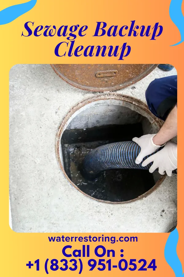 Sewage Backup Cleanup in Lakeland, NY