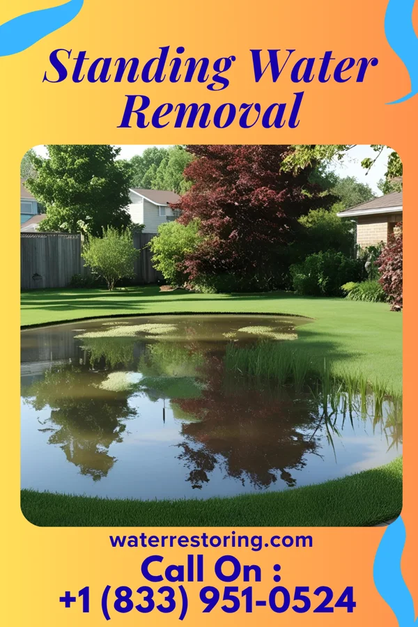 Standing Water Removal in Lakeland, NY